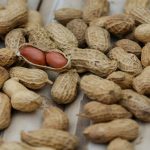 Peanut Digestives